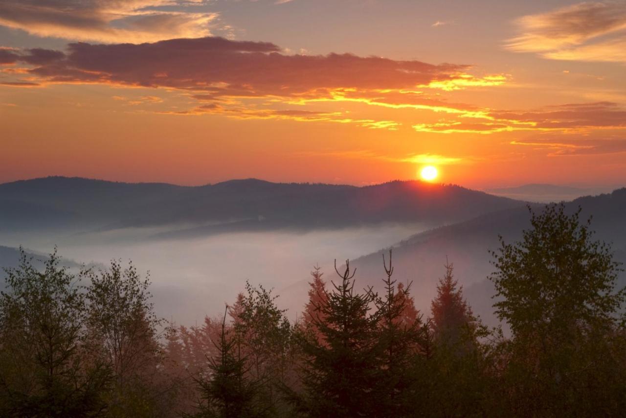 Ubytování v soukromí Noclegi Daglezja Pod Gora Zar *
